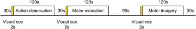 Brain Activation of Elite Race Walkers in Action Observation, Motor Imagery, and Motor Execution Tasks: A Pilot Study